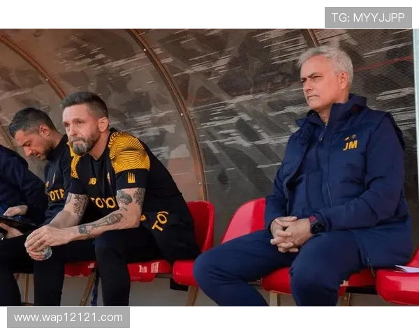 VN调查意大利杯应对球迷所向